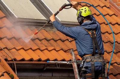 Démoussage et hydrofuge de toiture à Chapdeuil